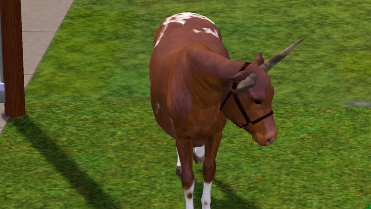 Screenshot-10.thumb.jpg.84ddc1b12fdaeefef3266344a224d714.jpg