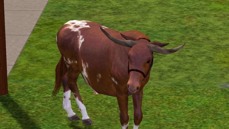 Screenshot-8.thumb.jpg.beca4d475a97d2c001de597addde003a.jpg