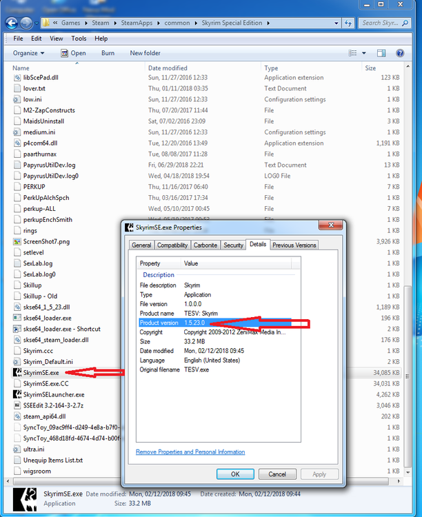 SkyrimSE-exe-version.thumb.png.3e74fe12fd15d101347f89174d75ff40.png