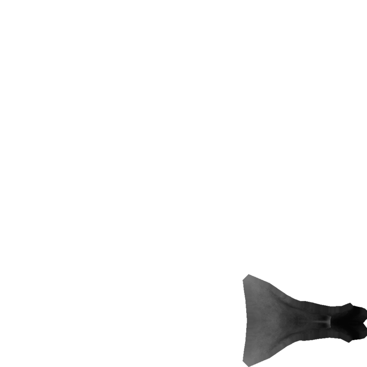 Spec.png