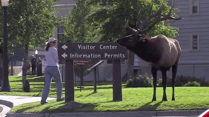 giphy.gif.b4f6e7fae80a2d0cba80653dda2cc16b.gif