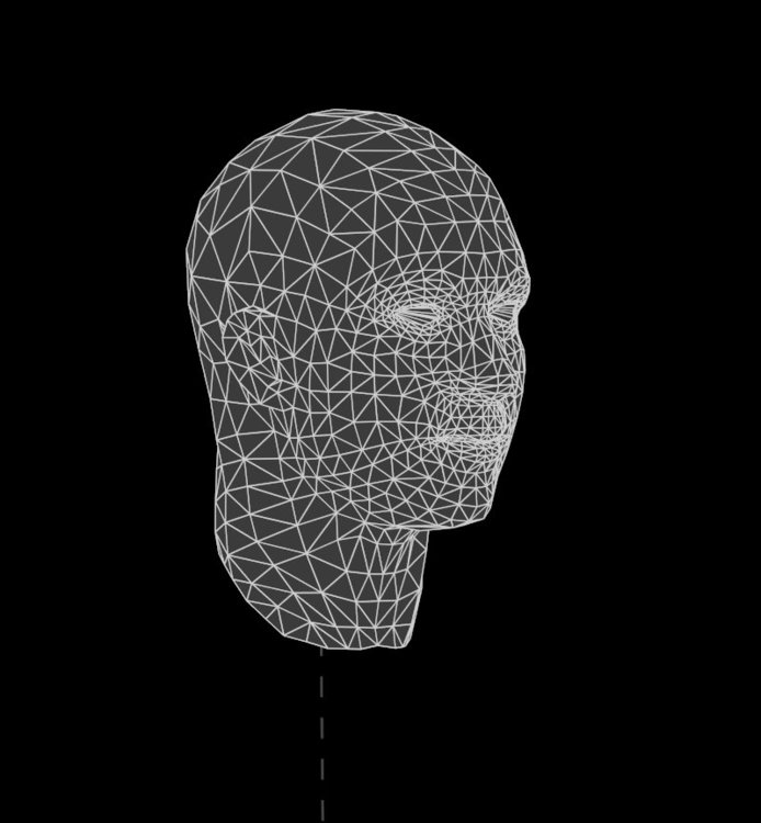 head_TA.thumb.jpg.a505970398075a6e00b23e00806c192f.jpg