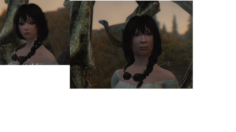 recorderbug.png