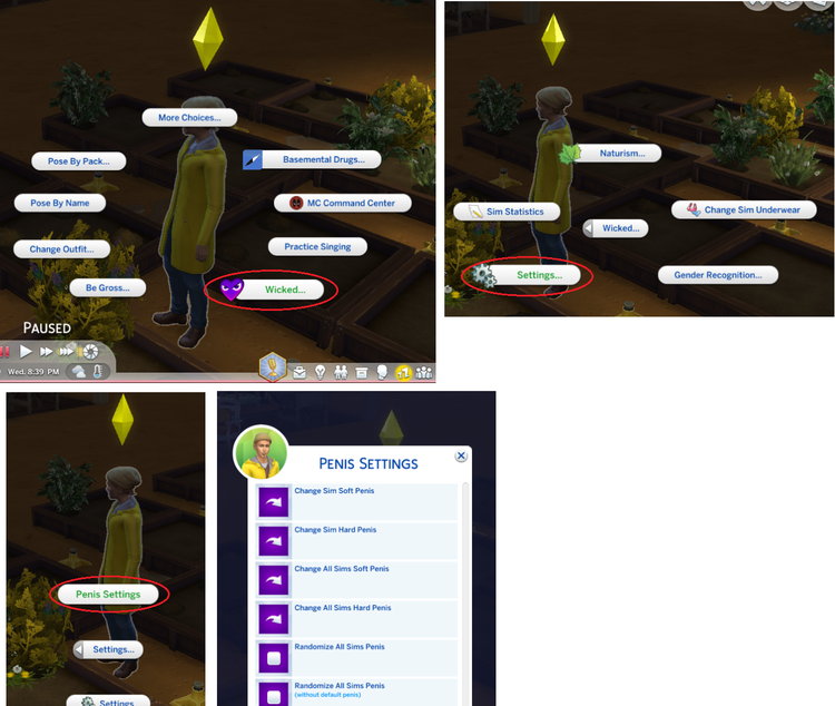 sim.png