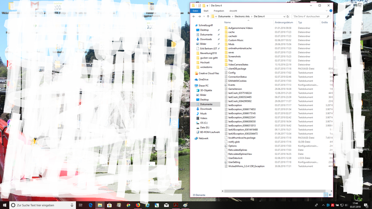 simsproblem2.png