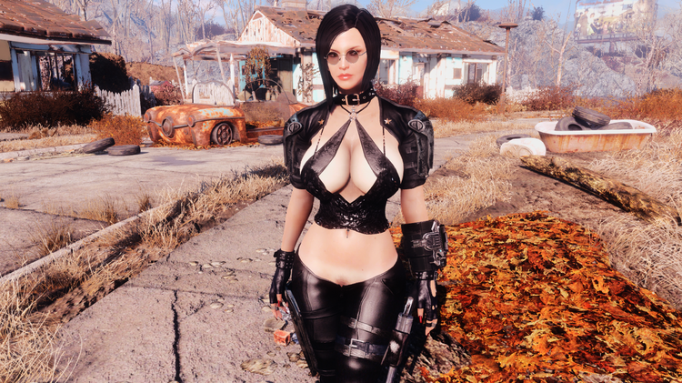 Fallout4 2018-08-07 12-17-22-99.png