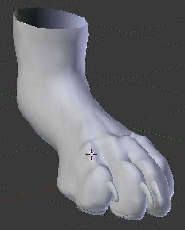 Dog Paw.JPG