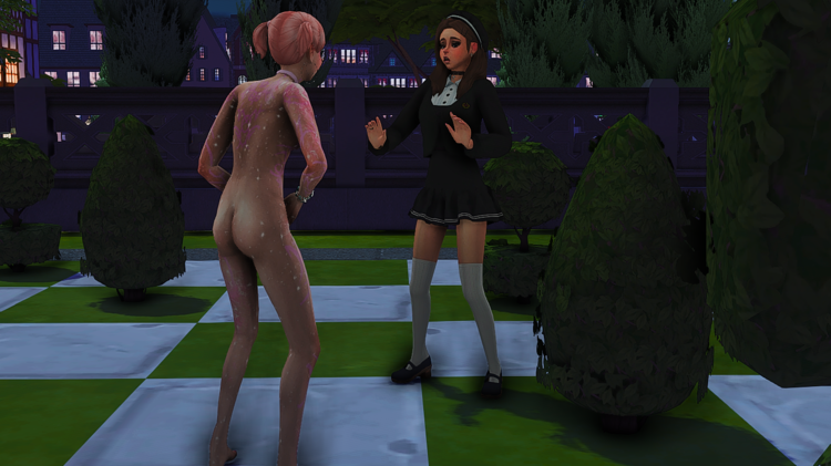 TS4_x64 2018-08-24 03-58-29.png