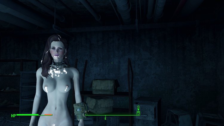 Fallout 4-08-05-2018 14-08-19-740.jpg