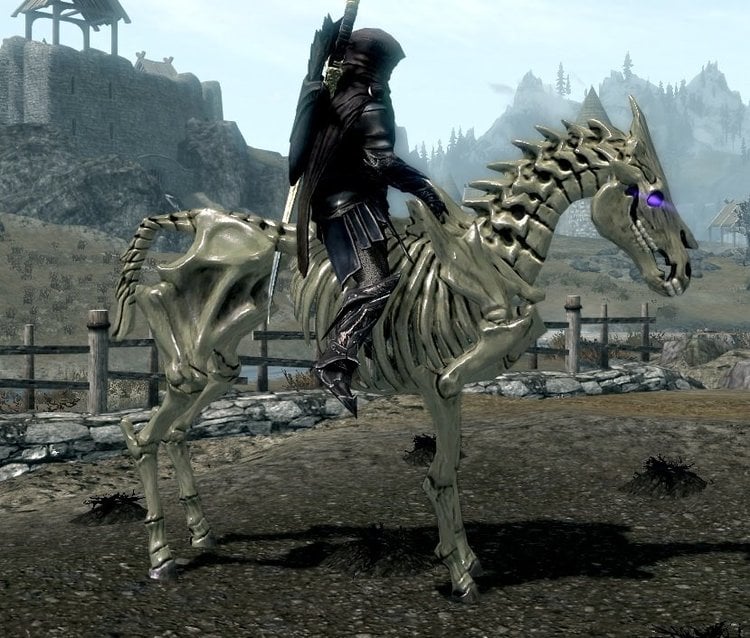 arvak skeleton.jpg