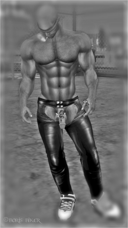 SL001.thumb.png.b9d6bb2cf85c969c43cd11f5101a7cb2.png