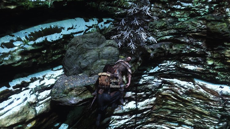 bleak3.thumb.jpg.e0ddb3bb27a7a7a260094a5ee8b01ed5.jpg