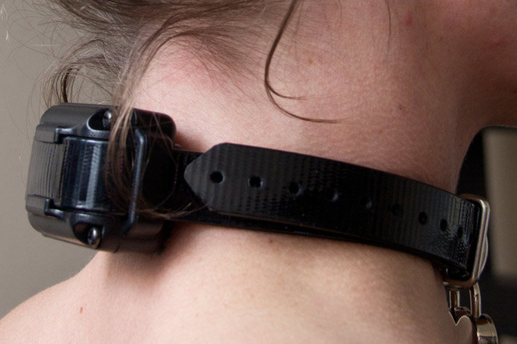 iq-plus-collar-in1.thumb.jpg.d1ecce0cf10f6cab4f597c4e768a137e.jpg