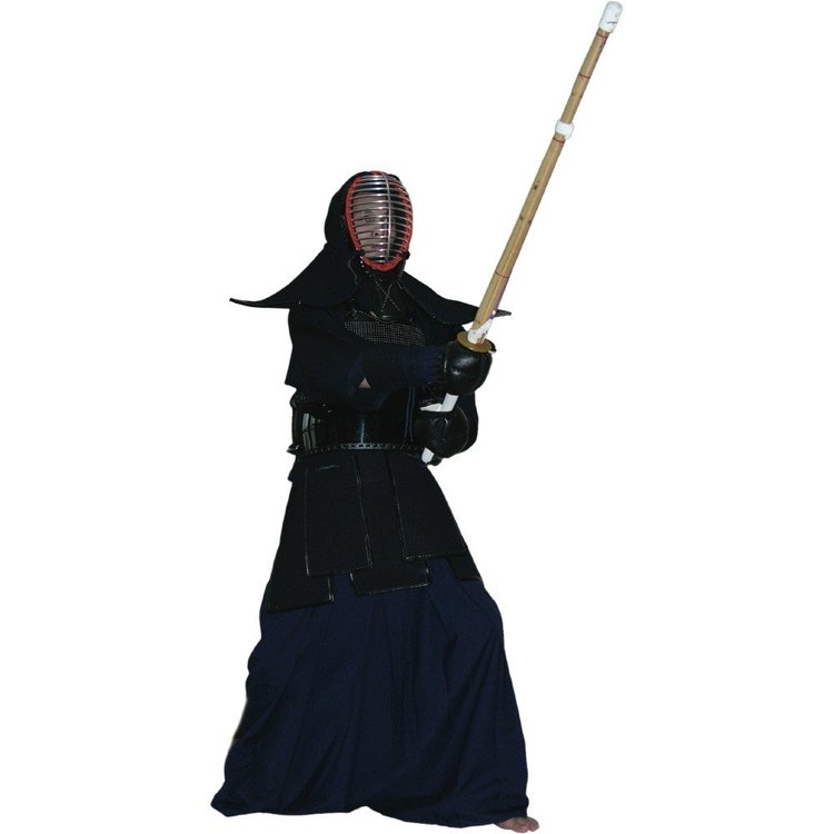 kendo.thumb.jpg.d57f82dec2d982e2431737759b407d74.jpg