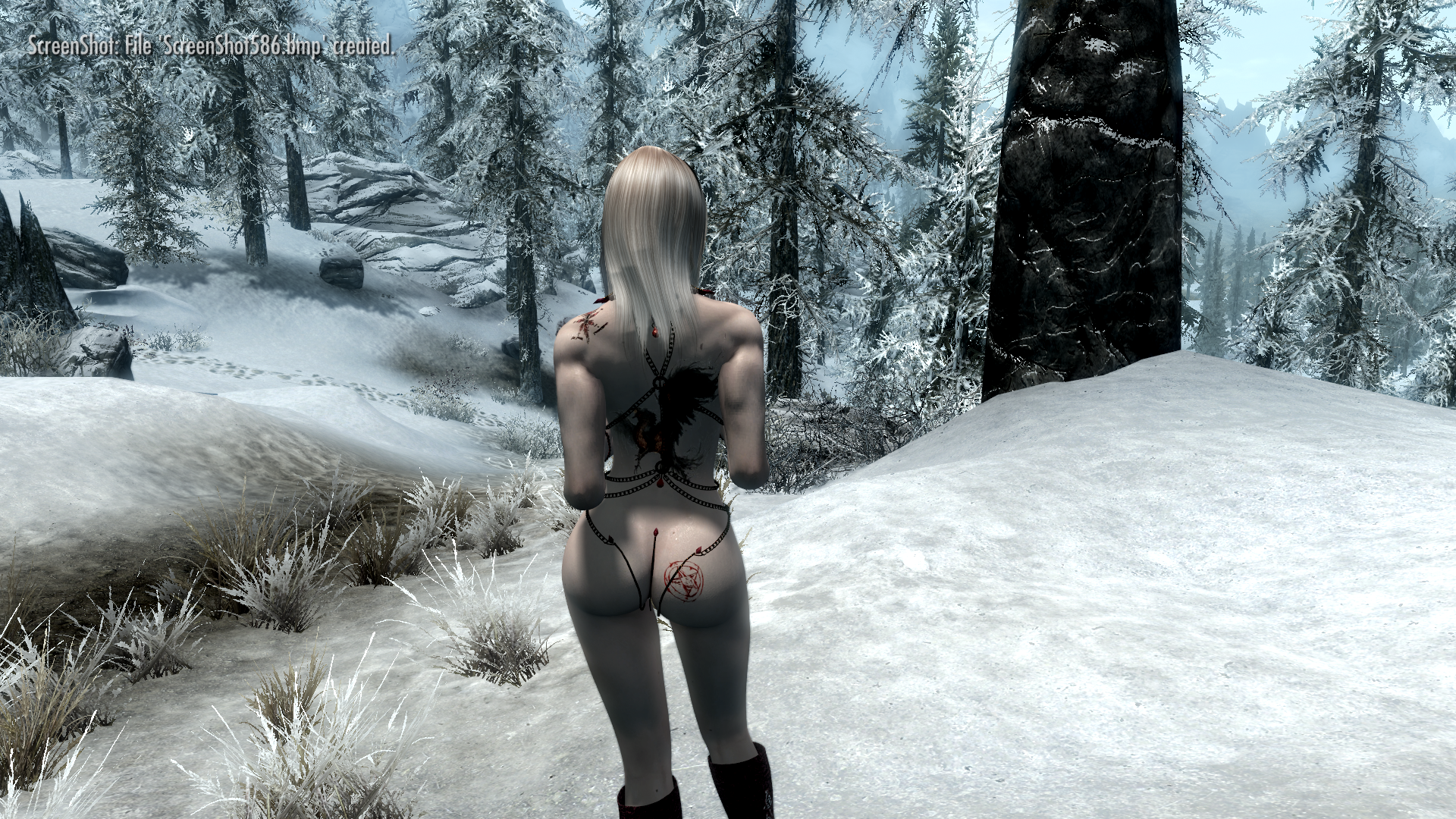 ScreenShot587.png.cf59f088a1c9a8fe948d72c8e4e40edf.png