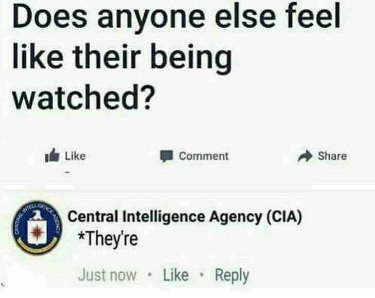 sUvBPts.jpg.5078a41cbfb2ddcaf094ddea56608308.jpg