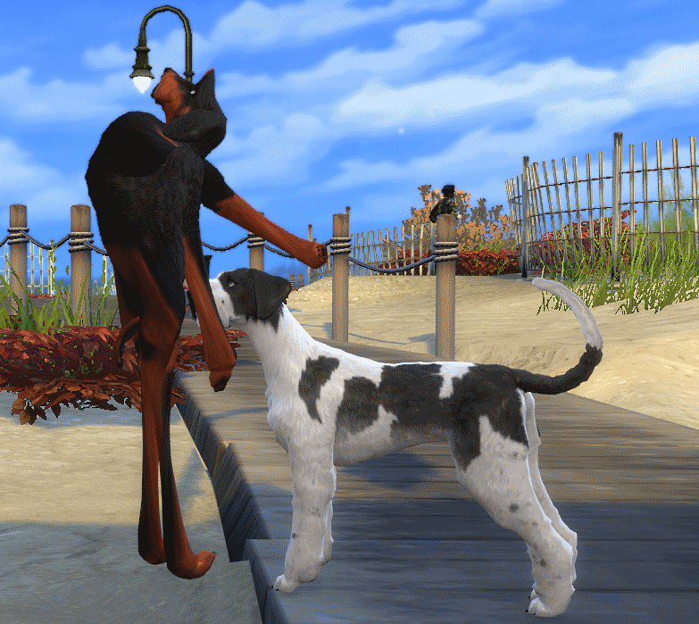 weirdDachshoundPaint.png.94ef97a5aa9dd625a6b4c7bd01e8d6df.png