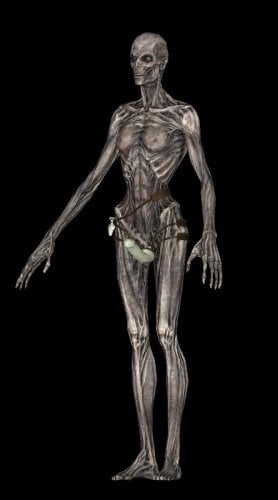 1831453617_NifSkopeFemaleDraugr-Strapped.jpg.465e84d8194a7907a25efd310b667ec0.jpg