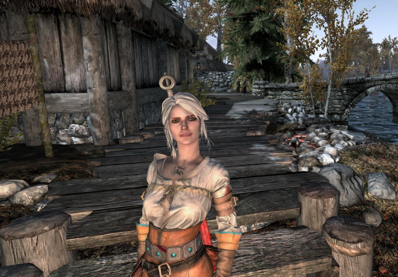 1Ciri.jpg.f7fa4e2201f81f52e206cce5bf199ef9.jpg