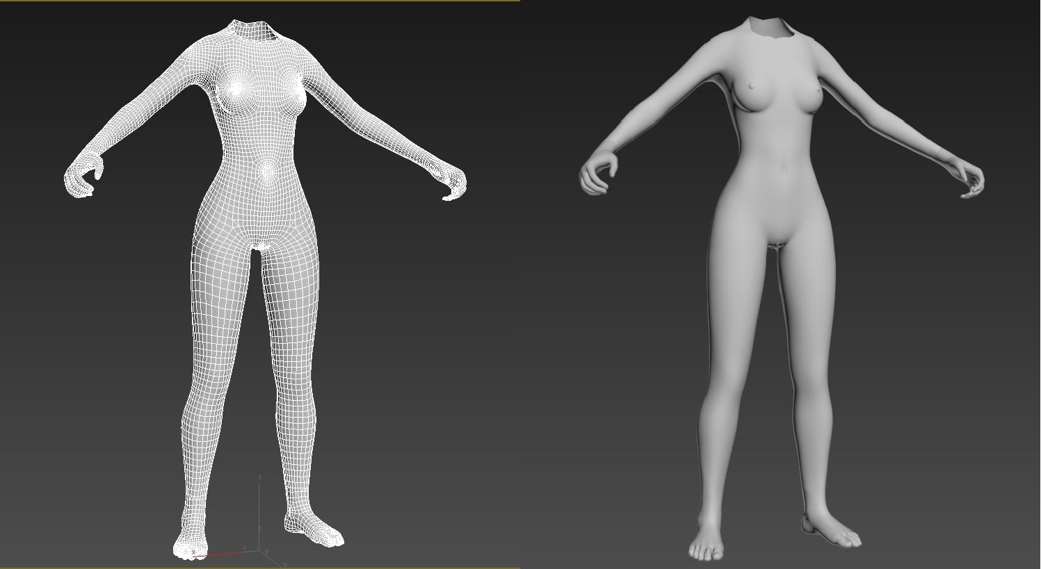 BodyX.jpg