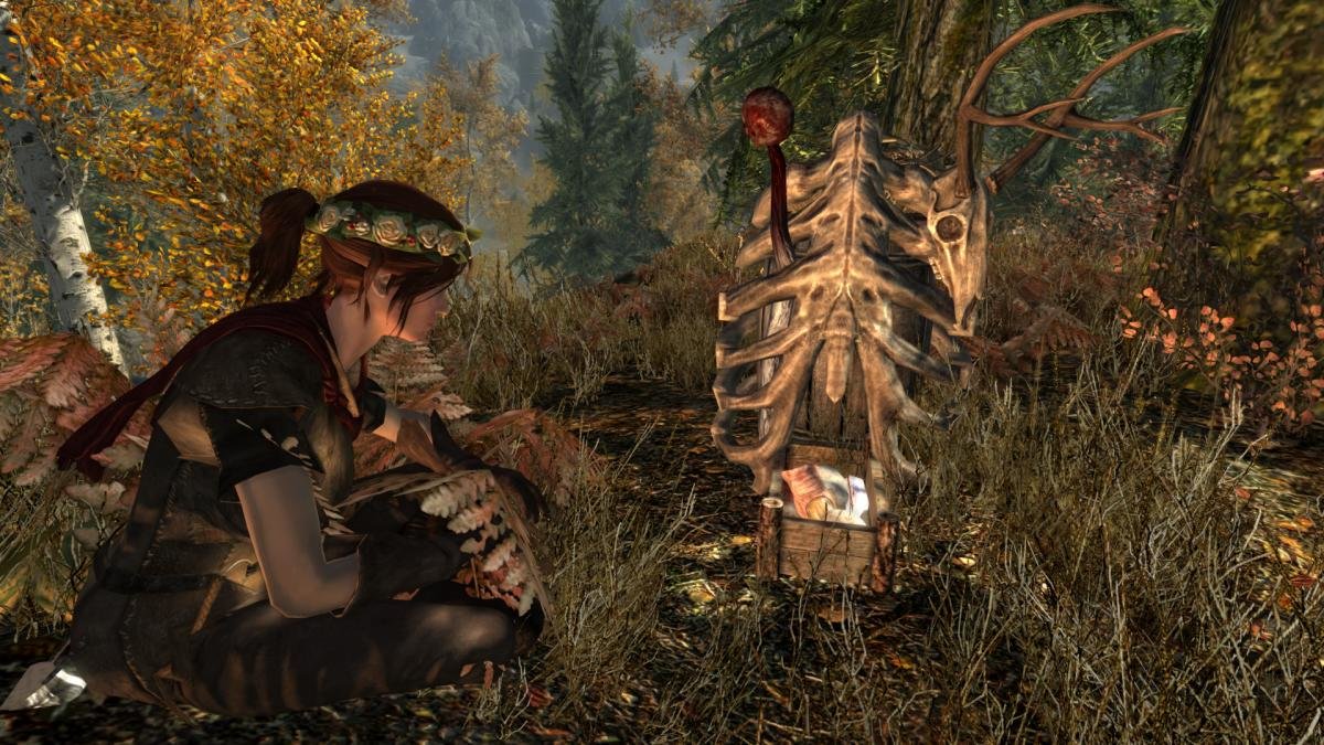 ChickenNexromancer.jpg.552f1da845b9b8575ab5ce23de248ee5.jpg