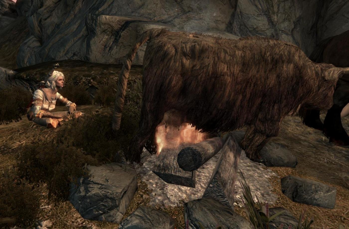 CowInCampfire.jpg.dd798d04e79e2c6061f0fee56f974d9f.jpg