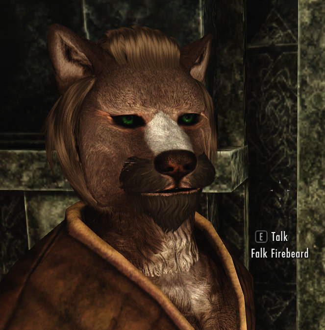 Falk.jpg
