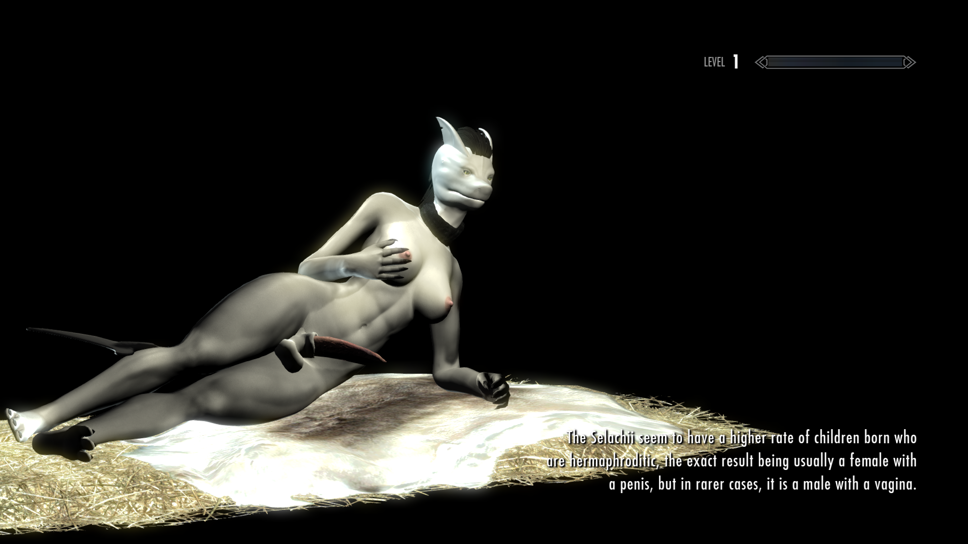 Shark_New_Loadscreen_2.png