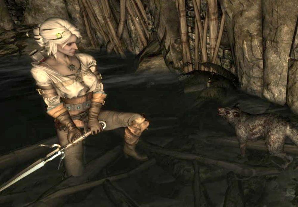 a_Ciri.2.jpg.2533b17ea4af35c9156b6b502b887114.jpg