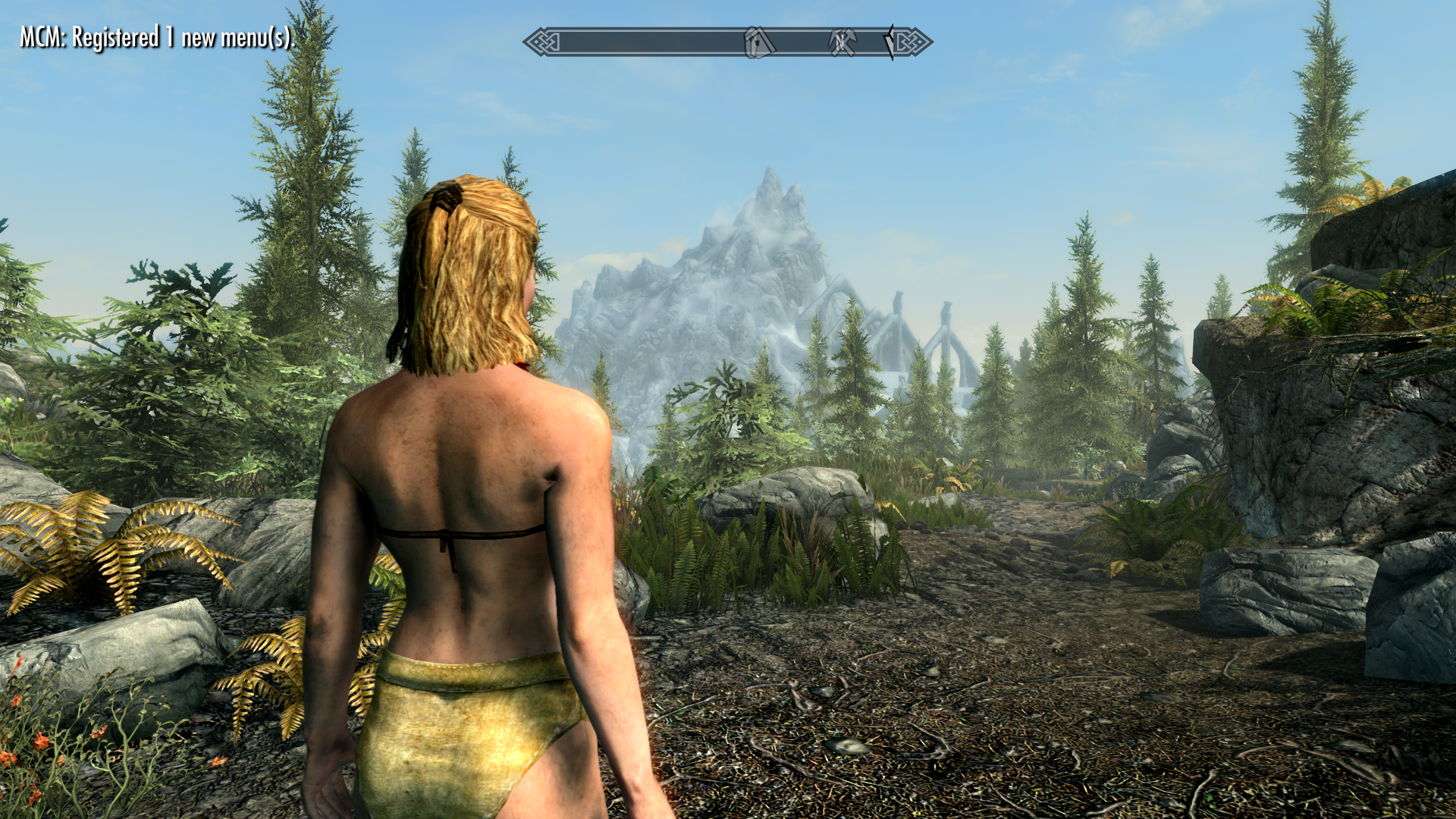 2008019173_TheElderScrollsVSkyrimSpecialEditionScreenshot2018_11_11-10_54_17_47.png.130ef706873b5c3471462652a35539ab.png