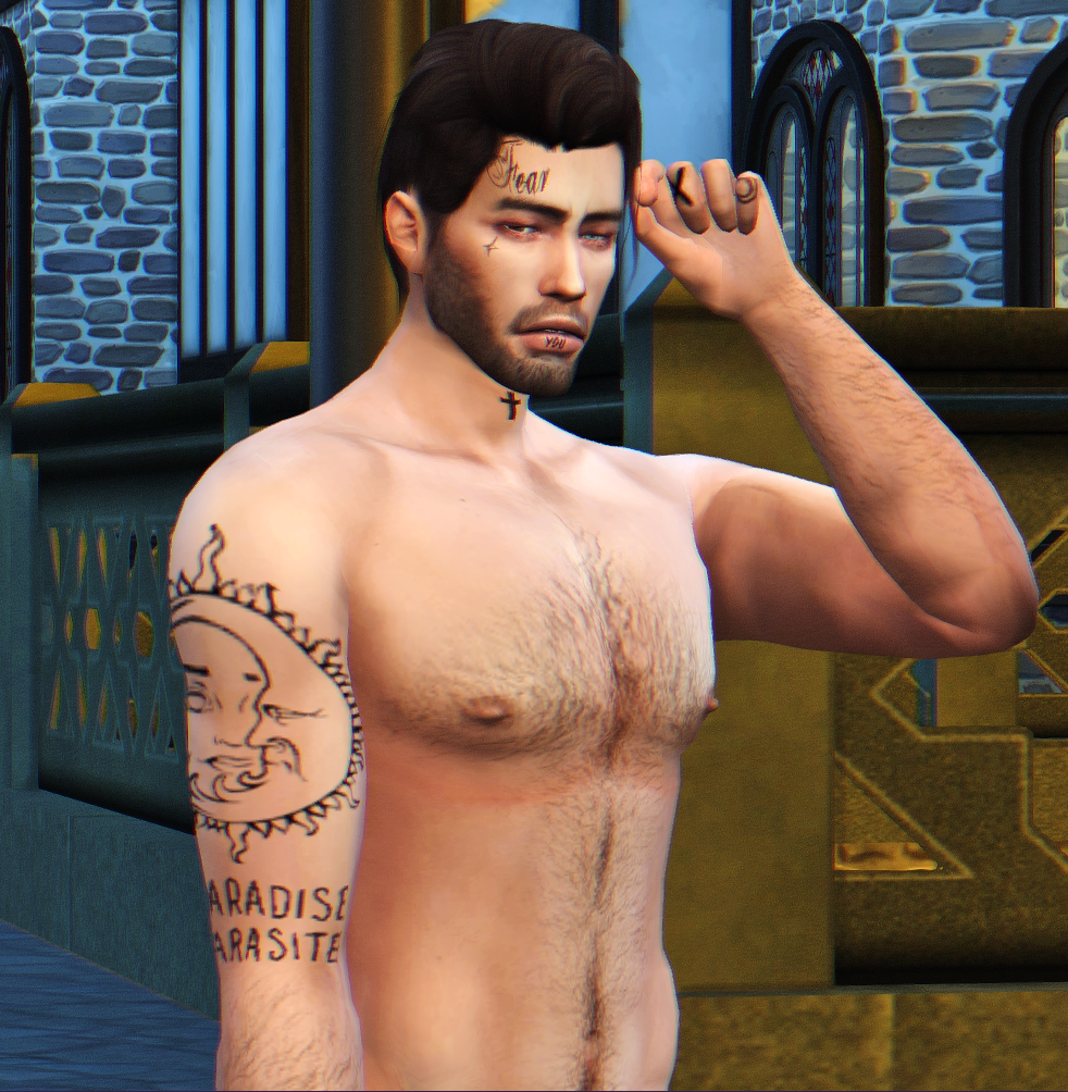 958985408_Vincent2.png.66fb6db33b37b06cbd43e73d0f2c57bf.png
