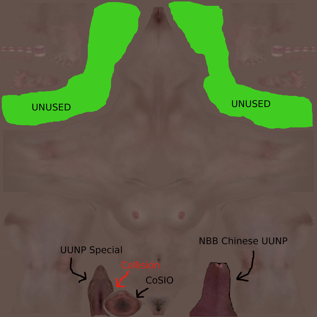 FemaleBodyVagMap.jpg
