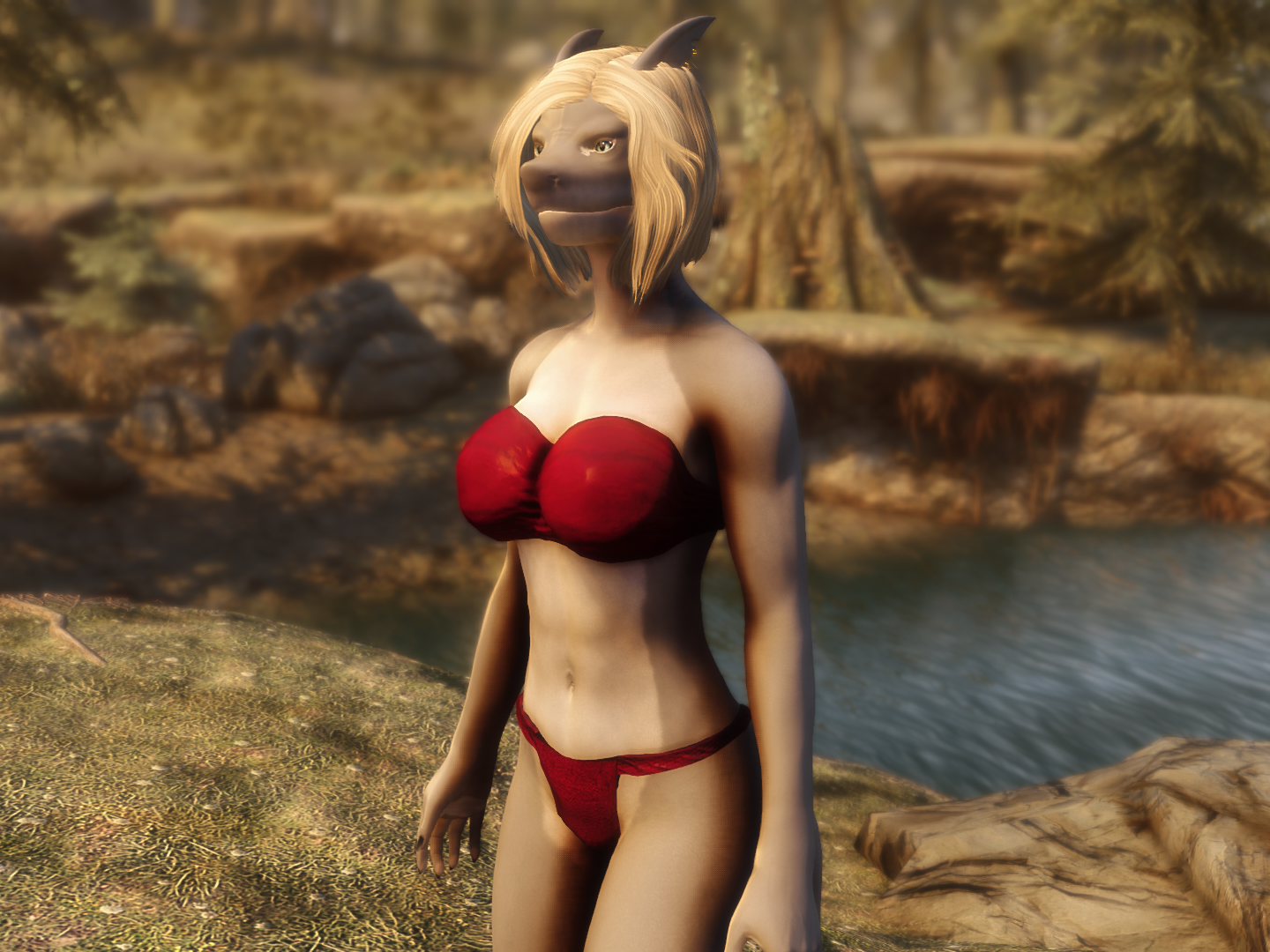 Shark_SE_4.png