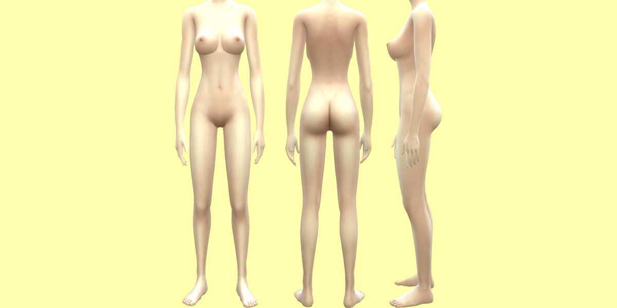 body.jpg