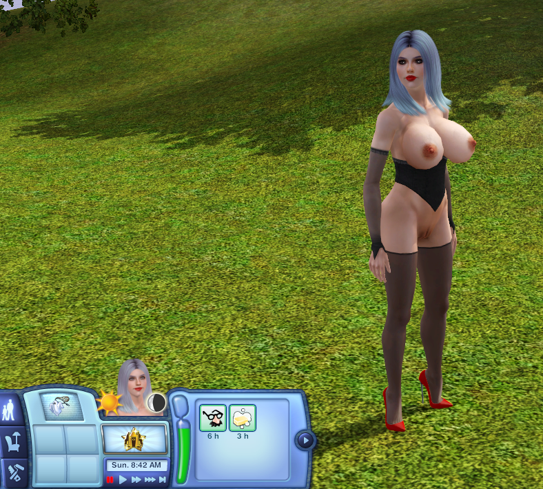 sim02.png