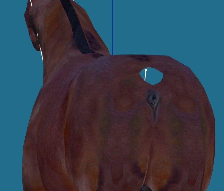 11RA7.jpg