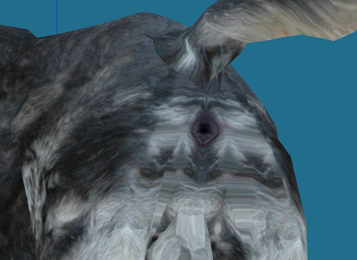 11RA8.jpg