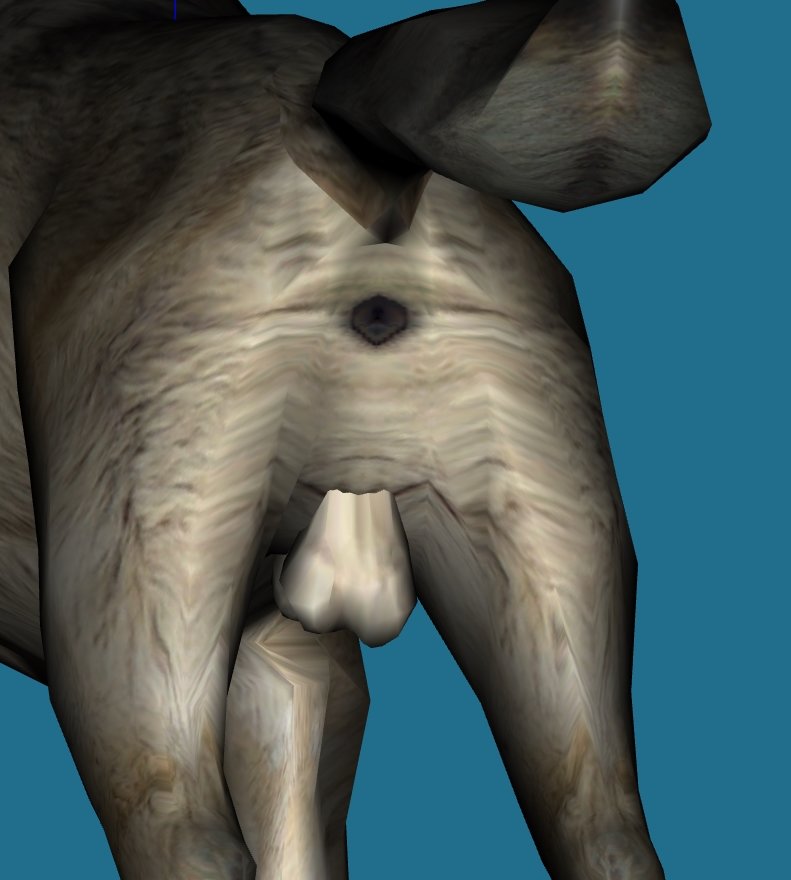 11RA9.jpg