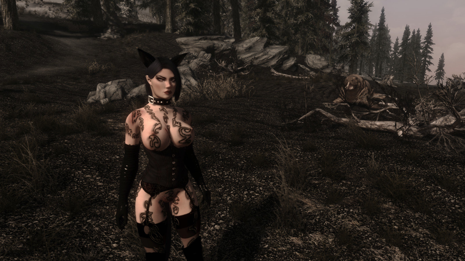 1772721992_enb2018_12_0303_40_56_77.jpg.9d31c53624b0b407d4884dd7a90e2b11.jpg
