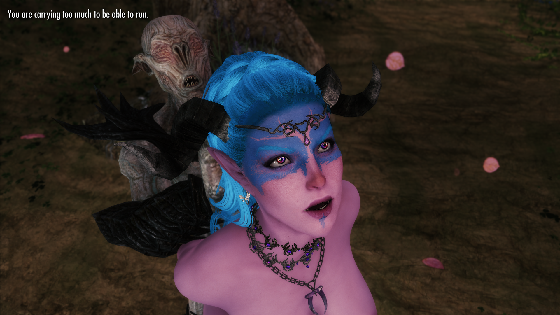 The Elder Scrolls V  Skyrim Special Edition Screenshot 2018.12.26 - 13.18.29.32.png
