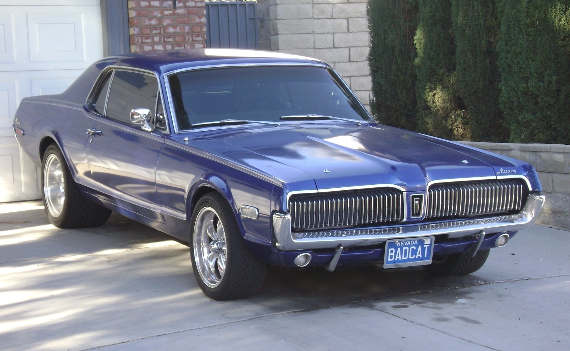 732195415_68Cougar-01.thumb.jpg.f0e330e6dfd9a6e450a1a1a09c6cf24f.jpg