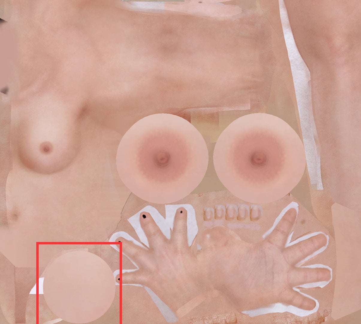 HI_fiona12.thumb.jpg.3cd6448cd971c2935f89991caa02c8be.jpg