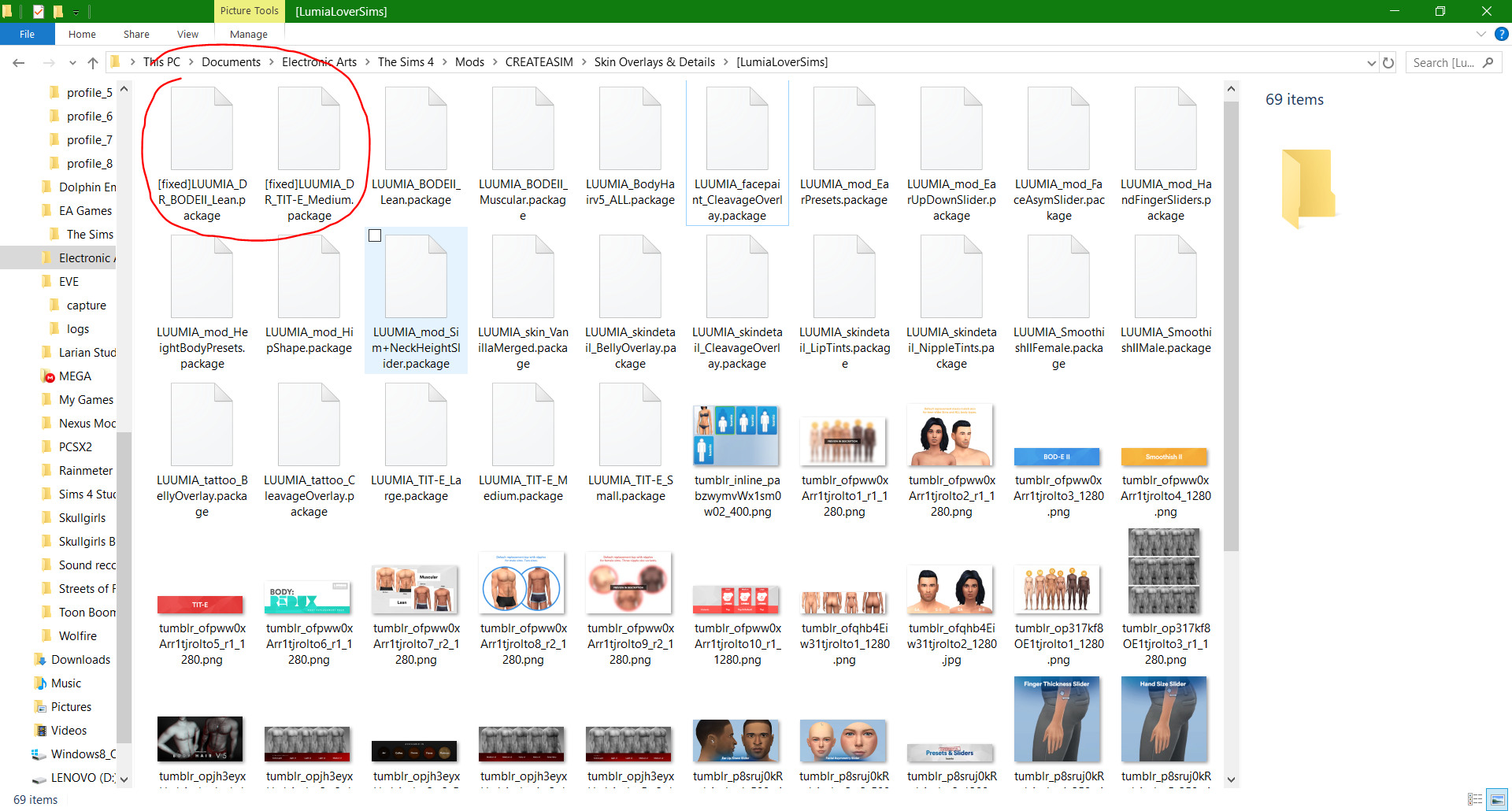 ModFolder(Luumia).PNG.4ffc6e68116454896bfc9ca8f1648933.PNG