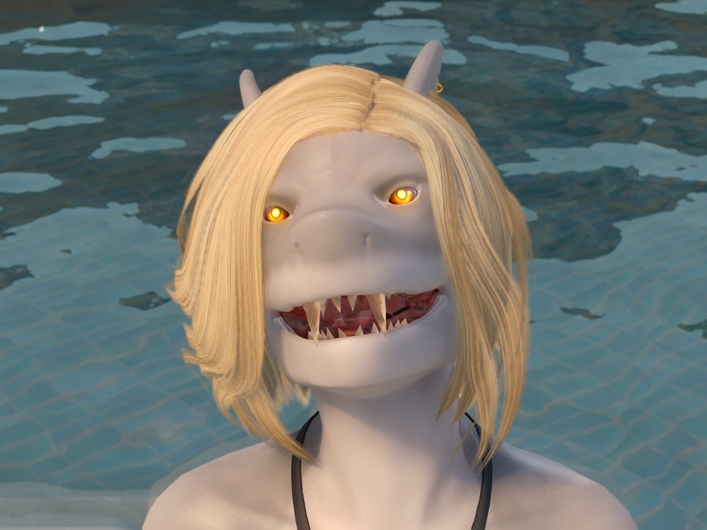 Nom.png