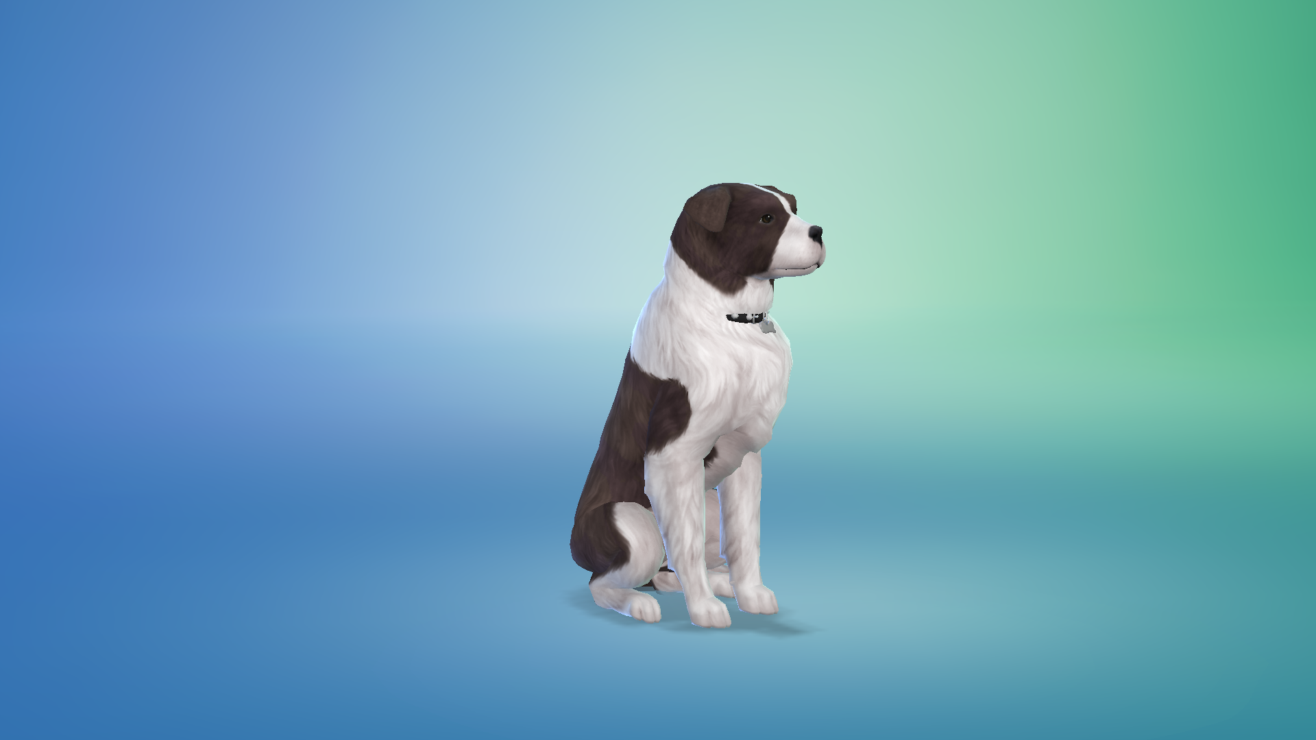 dec1-pet.png.7b1648f936bcfa6ad5a32f64c9baeb8a.png