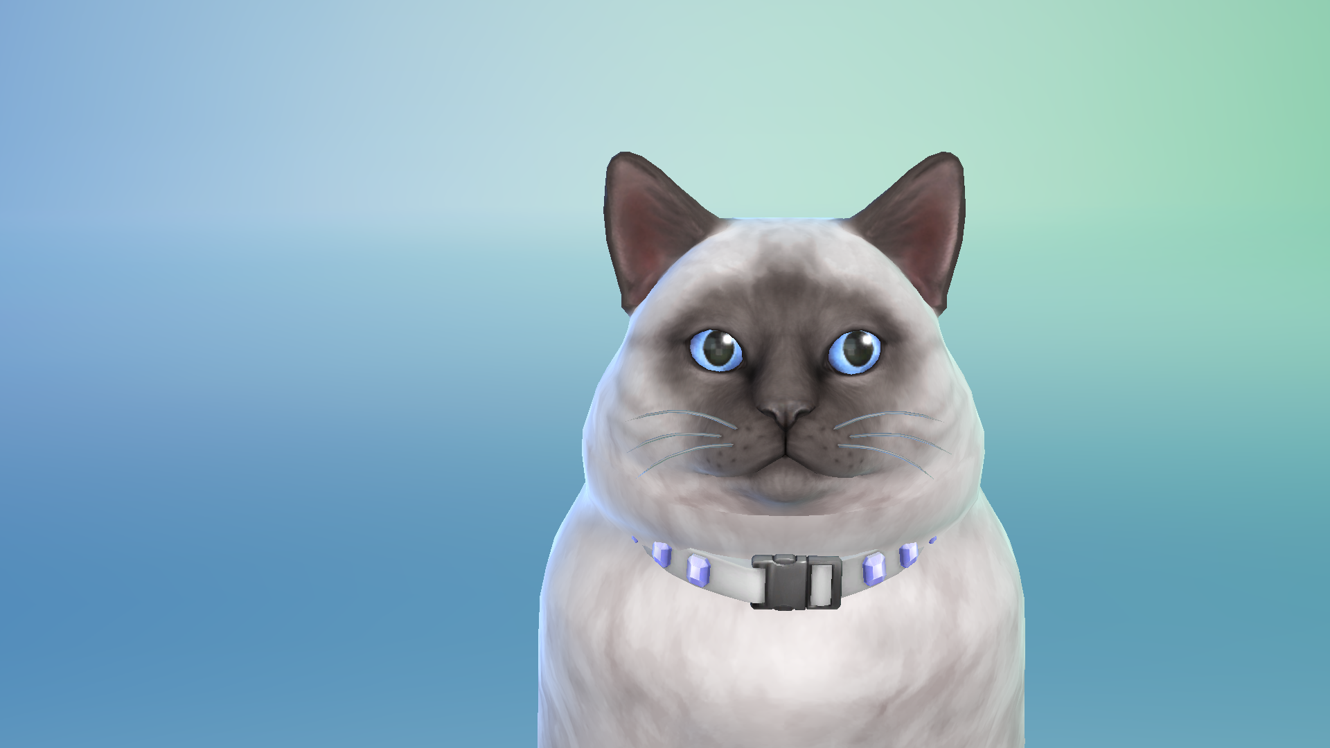 dec17-pet.png.67ed399db13f8e9ad15dc682909debea.png