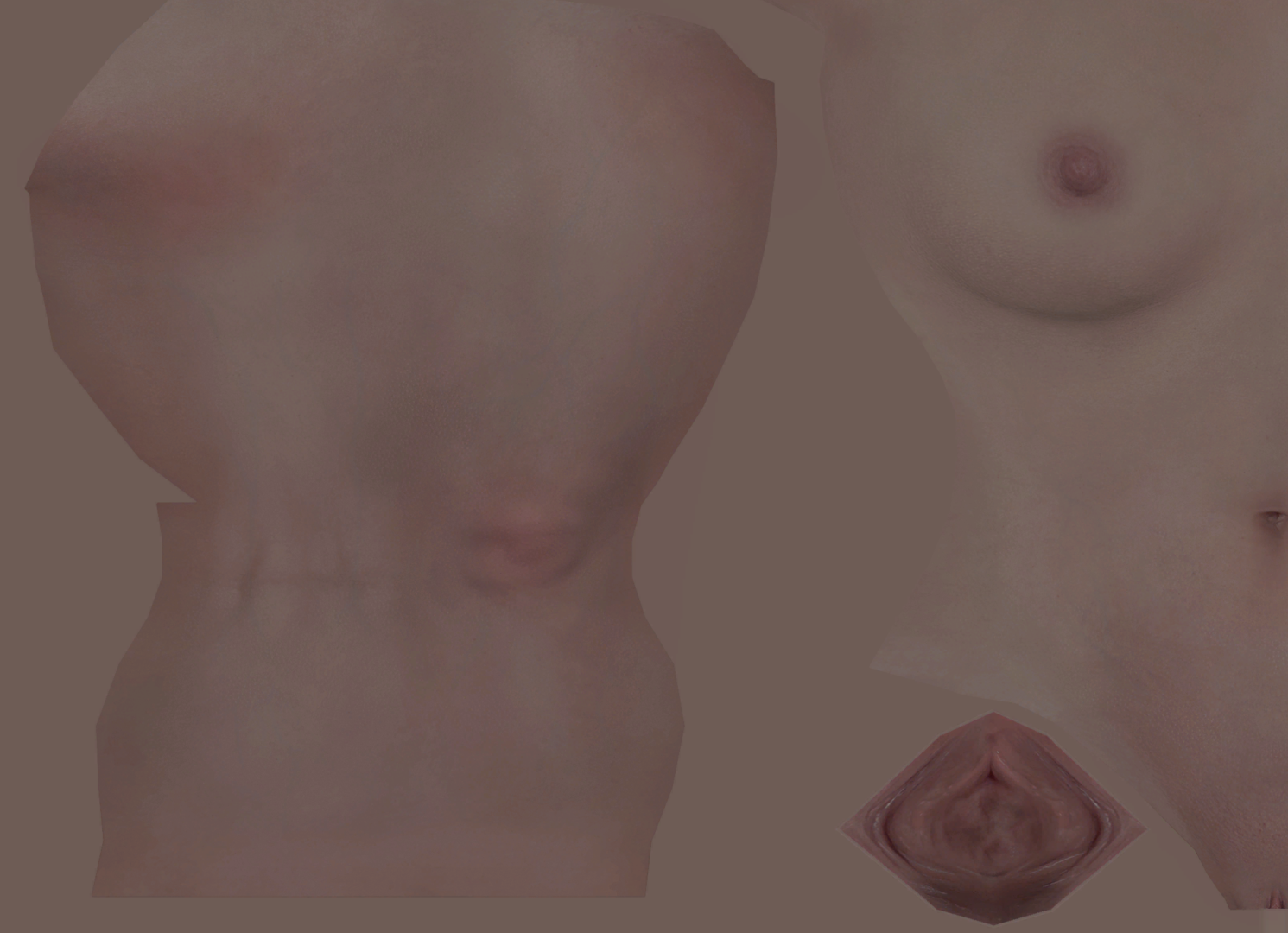 femalebody_1.png