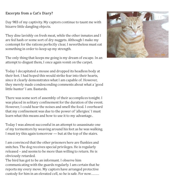 12769843_catdiary.png.cbc6b0ae367b4740aeaae7e990474dc8.png