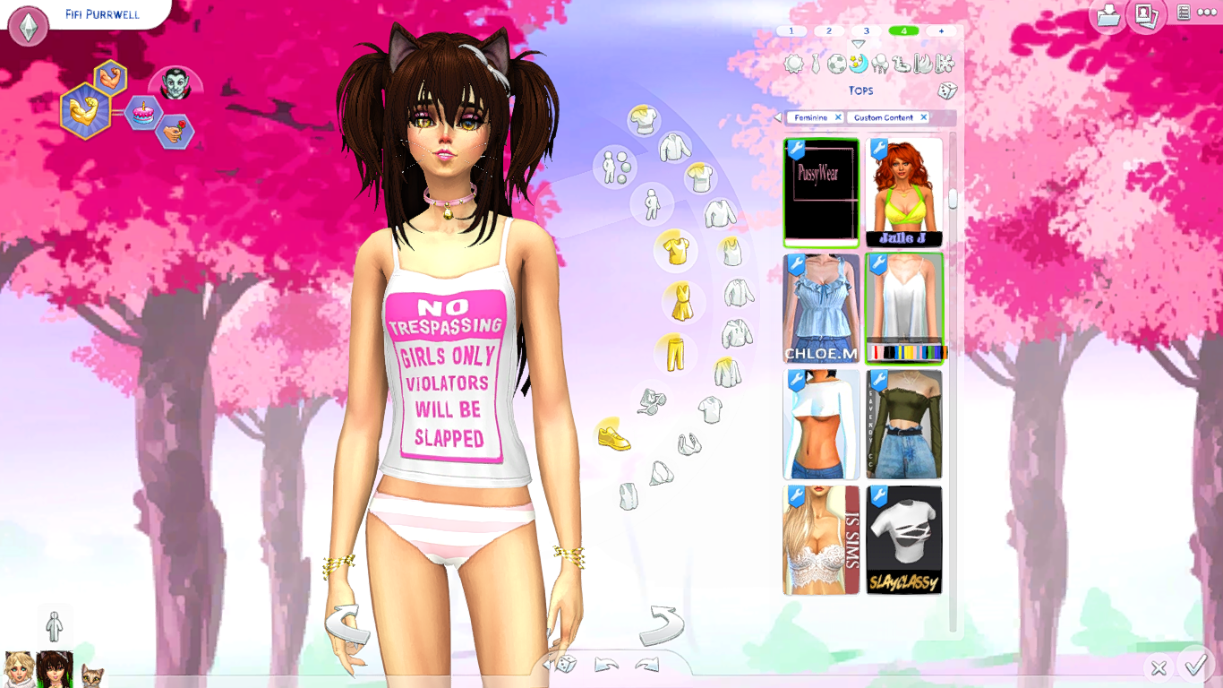 TS4_x64 2019-01-05 05-26-56.png