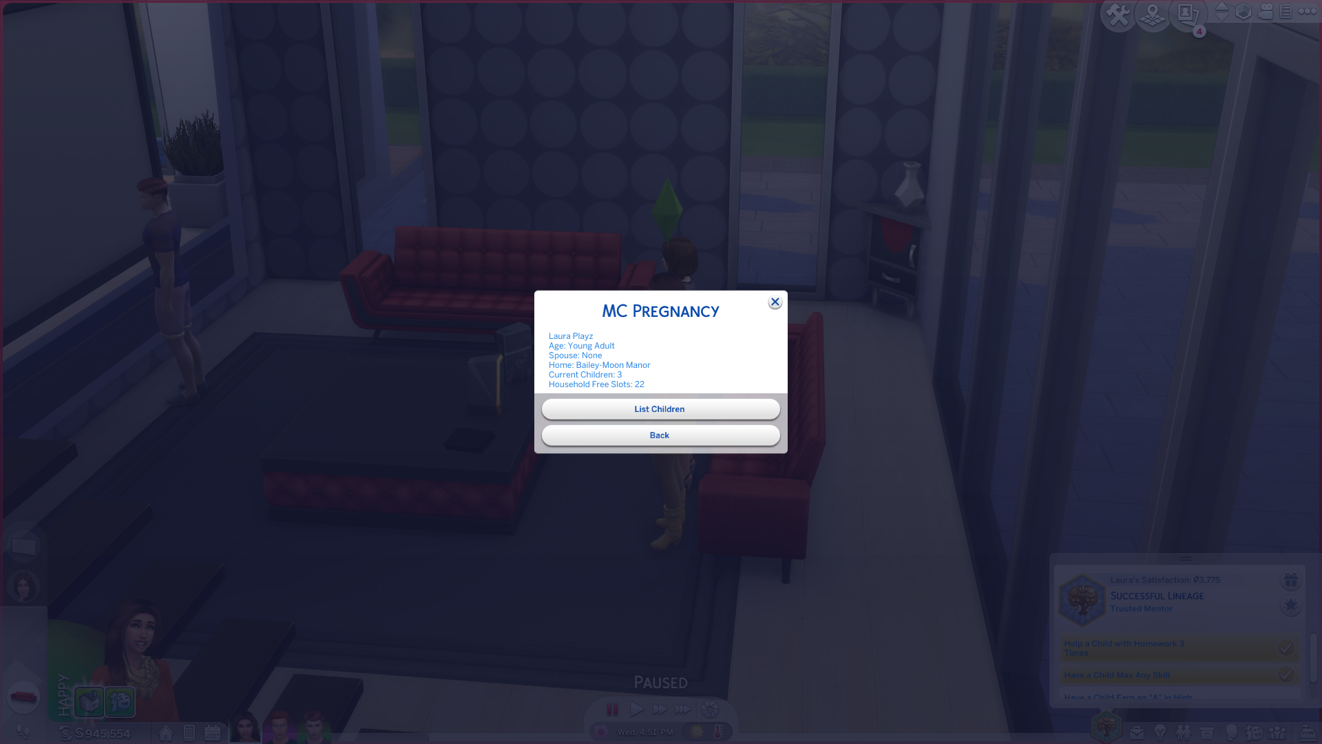 Sim in my household